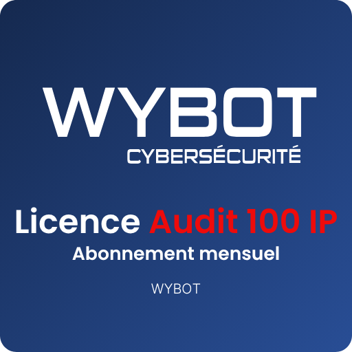 LICENCE AUDIT 100 IP - ABONNEMENT MENSUEL