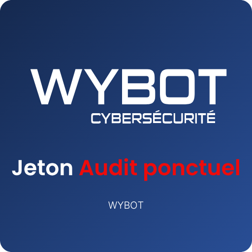 AUDIT PONCTUEL